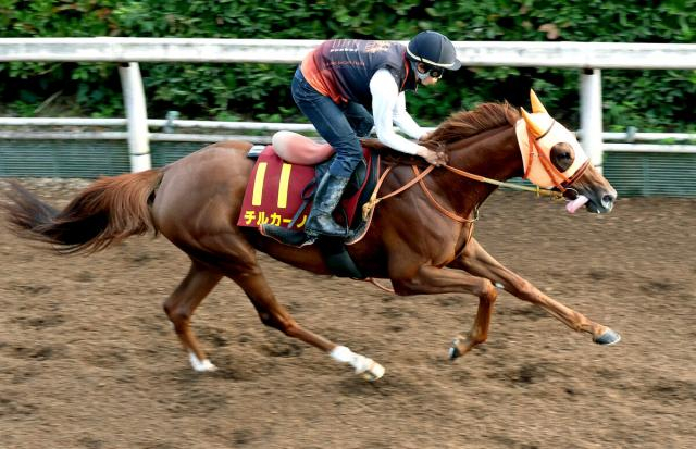 【秋華賞】3歳牝馬の世代レベルは史上最強クラス　矢車賞勝ち馬が再び人気薄で一発を