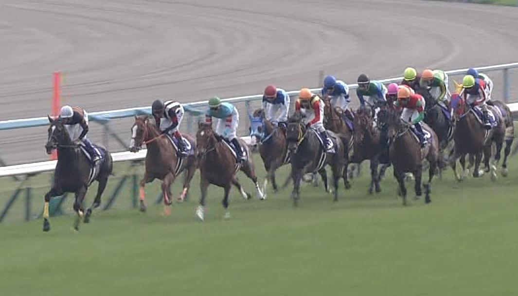 【競馬】皐月賞馬ジャスティンミラノが右前浅屈腱炎　天皇賞・秋は回避　全治９か月以上