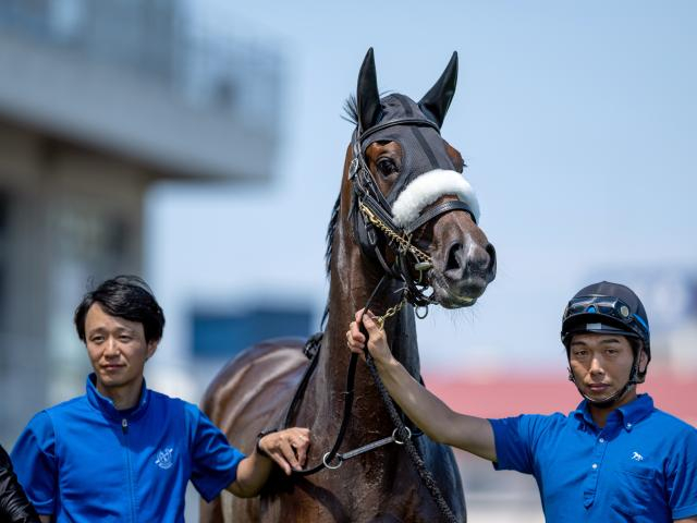 【週末情報】外枠はむしろ好都合!? ステレンボッシュ調整入念で態勢は万全/馬三郎のつぶやき