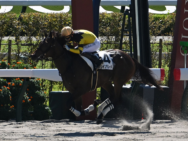 【メイクデビュー京都4Rレース後コメント】ドンインザムード松山弘平騎手ら