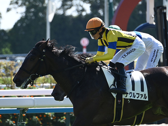 【メイクデビュー京都5Rレース後コメント】ナグルファル川田将雅騎手ら