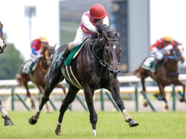 【東京HJ予想】“障害王”へと続く道 ステップレースを制して暮れへ弾みを付ける馬は？