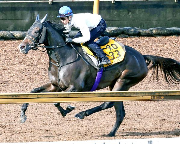 【府中牝馬S】今年2戦2けた着順も復活信じて3番人気　唯一のG1馬は1番人気とはならず　前日オッズ発表