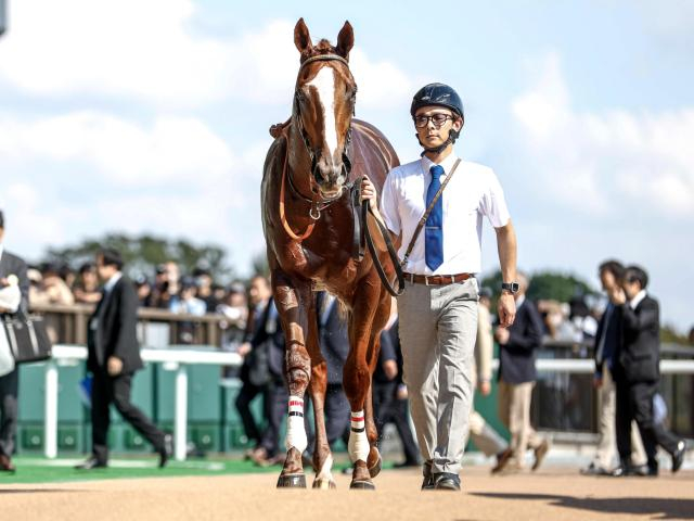  【メイクデビュー東京5Rレース後コメント】デンクマール C.ルメール騎手ら