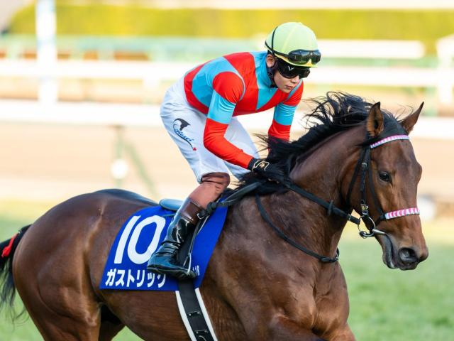 【先週のJRA抹消馬】22年東スポ杯2歳S覇者ガストリック、今年のマーメイドSで2着のエーデルブルーメなど