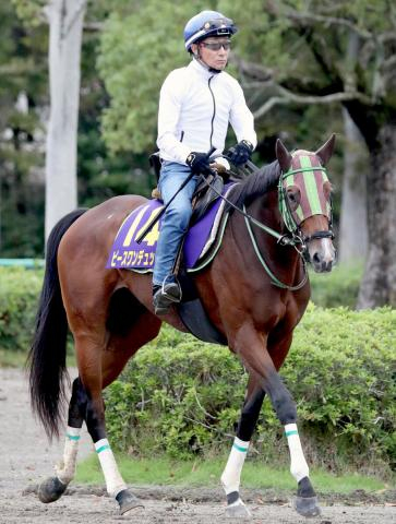 【菊花賞・角田の特注馬】超抜の動き!　ピースワンデュックで柴田善臣騎手が10年4か月ぶりのG1勝利を