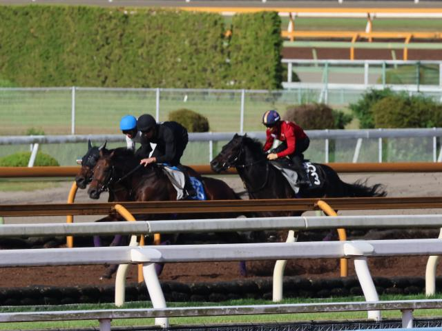 セレクト1歳で2億7000万円 パーティハーンが京都で初陣/関西馬メイクデビュー情報