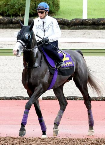 【菊花賞】歴代最多5勝の武豊騎手×名伯楽の友道師タッグでラスト1冠奪う