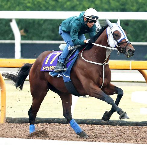 【菊花賞】メイショウタバルは引っかかり気味　浜中俊騎手「先週と逆に全然折り合いがつかなかった」