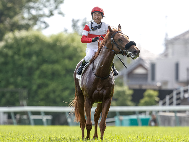 【菊花賞】横山典弘騎手が26年ぶり2回目の戴冠へ ダノンデサイルを2冠に導くか