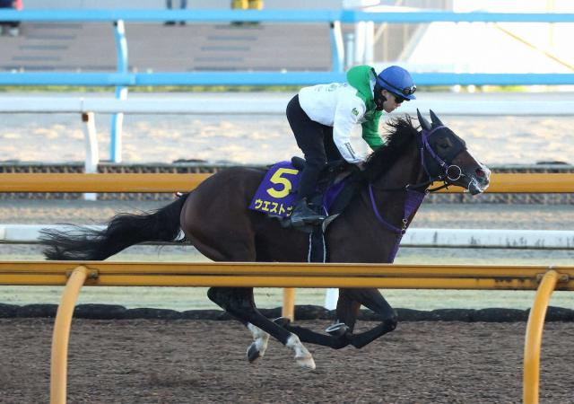 【菊花賞】(8)ウエストナウ　ちょうどいい枠、佐々木師「外の7、8枠は嫌だった」