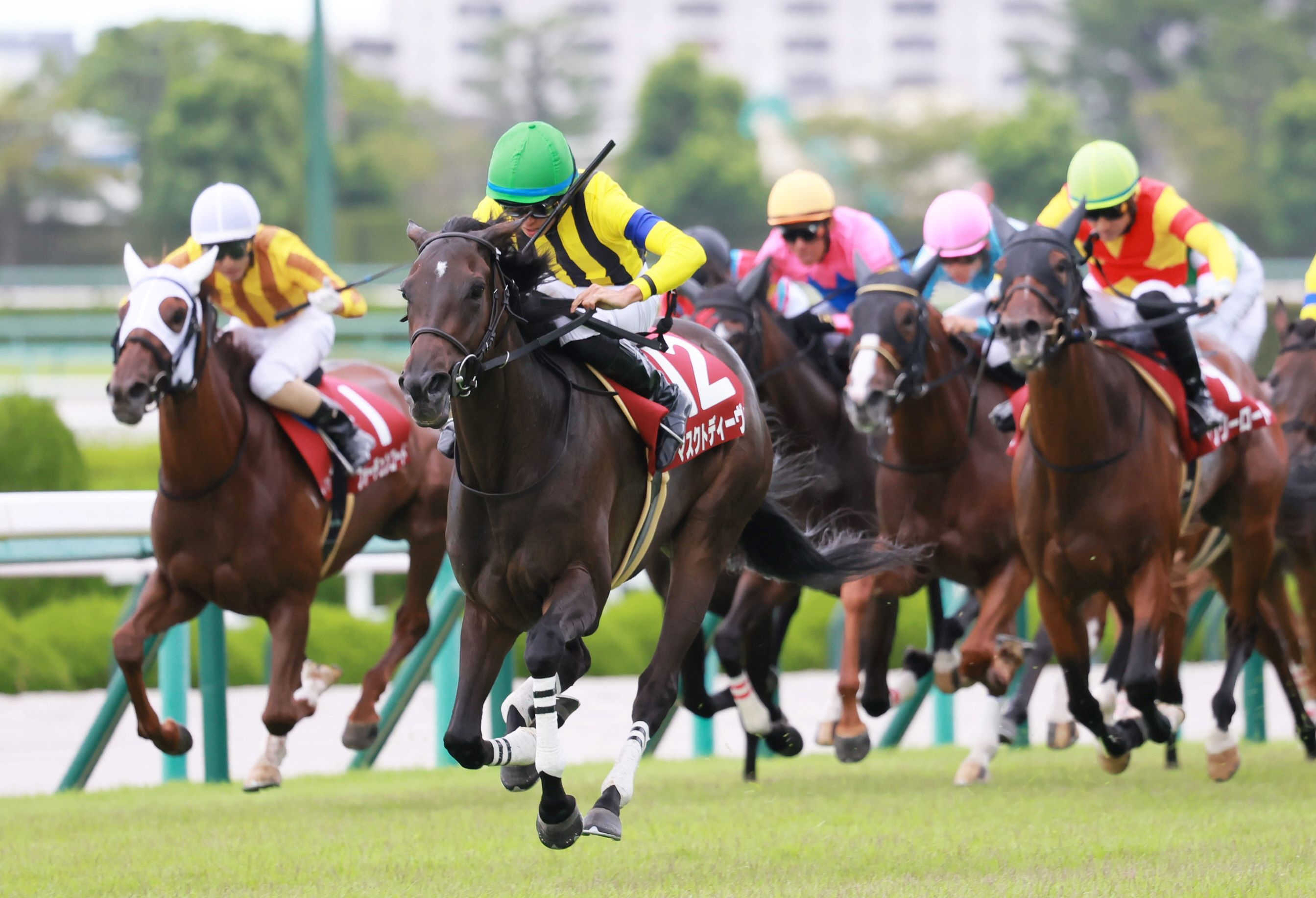 重賞２勝馬マスクトディーヴァが屈腱炎で電撃引退　昨年秋華賞で３冠牝馬リバティアイランドの２着