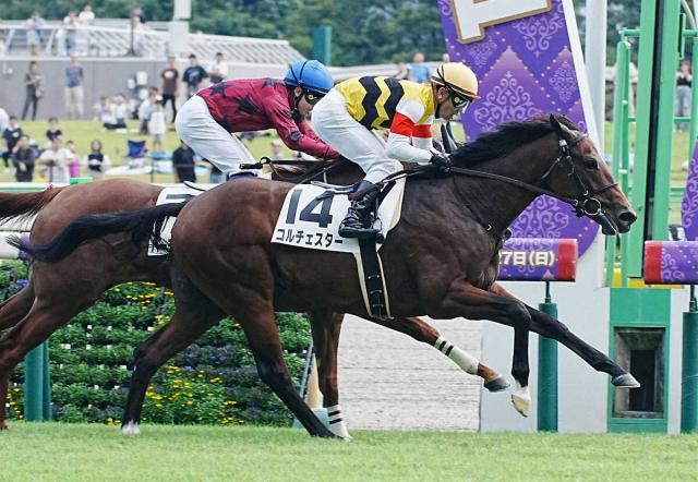 【東京新馬戦】しぶとさ見せた!コルチェスター差し切りV　尾関師「馬体は成長途上」