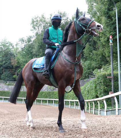 【注目馬動向】富士S6着のアルナシームは藤岡佑介騎手と新コンビでマイルCSへ　橋口調教師「手が合いそうなイメージです」