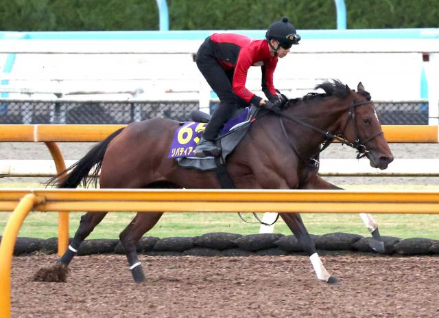 【天皇賞・秋】リバティアイランドは川田将雅騎手の騎乗OK「大丈夫です」　最終追い切りはCWコースで鋭伸