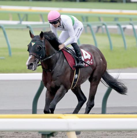 【注目馬動向】エルトンバローズはマイルCS　新馬Vのサトノシャイニングは東京スポーツ杯2歳S