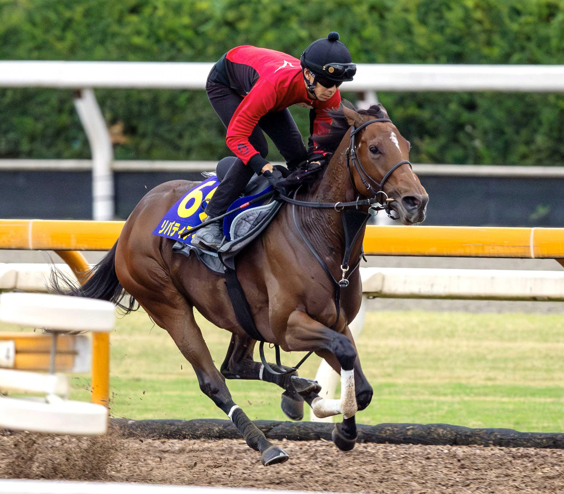 【天皇賞】リバティアイランド　弾丸デモ　アーモンドアイ以来の牝馬Ｖへ　７カ月ぶりでも緩慢さ皆無！休養効果でパワーＵＰ