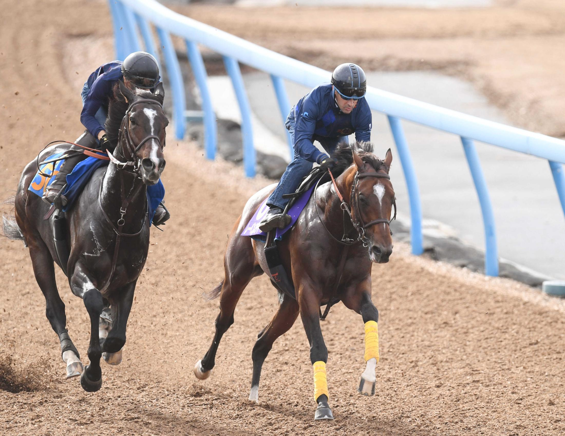 【天皇賞】レーベンスティール　勢いイチバン！　文句なしの追い切り内容にルメール手応え「スイッチオンになったね」