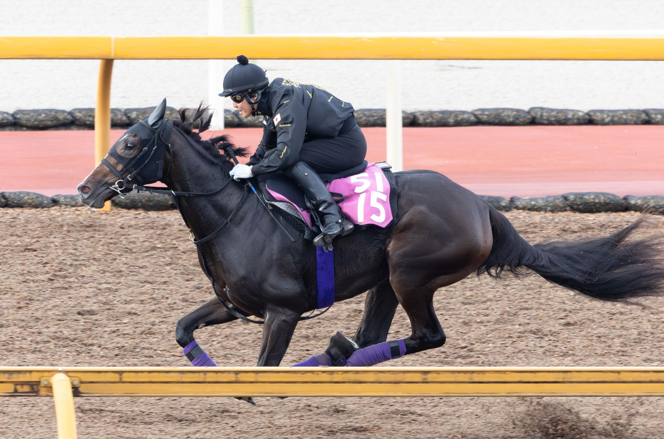 【アルテミスＳ】カムニャック　出世レースＶだ　初戦完勝劇から２カ月半ぶり　友道師「能力はピカイチ。メンタル面がいい」