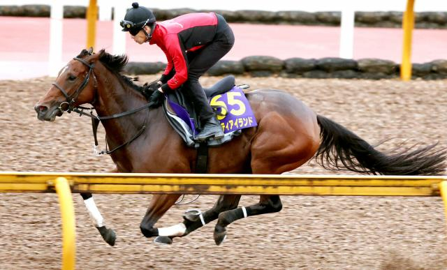 【天皇賞・秋】G1・5勝へリバティアイランドは7枠12番　ドウデュースは4枠7番　枠順決定