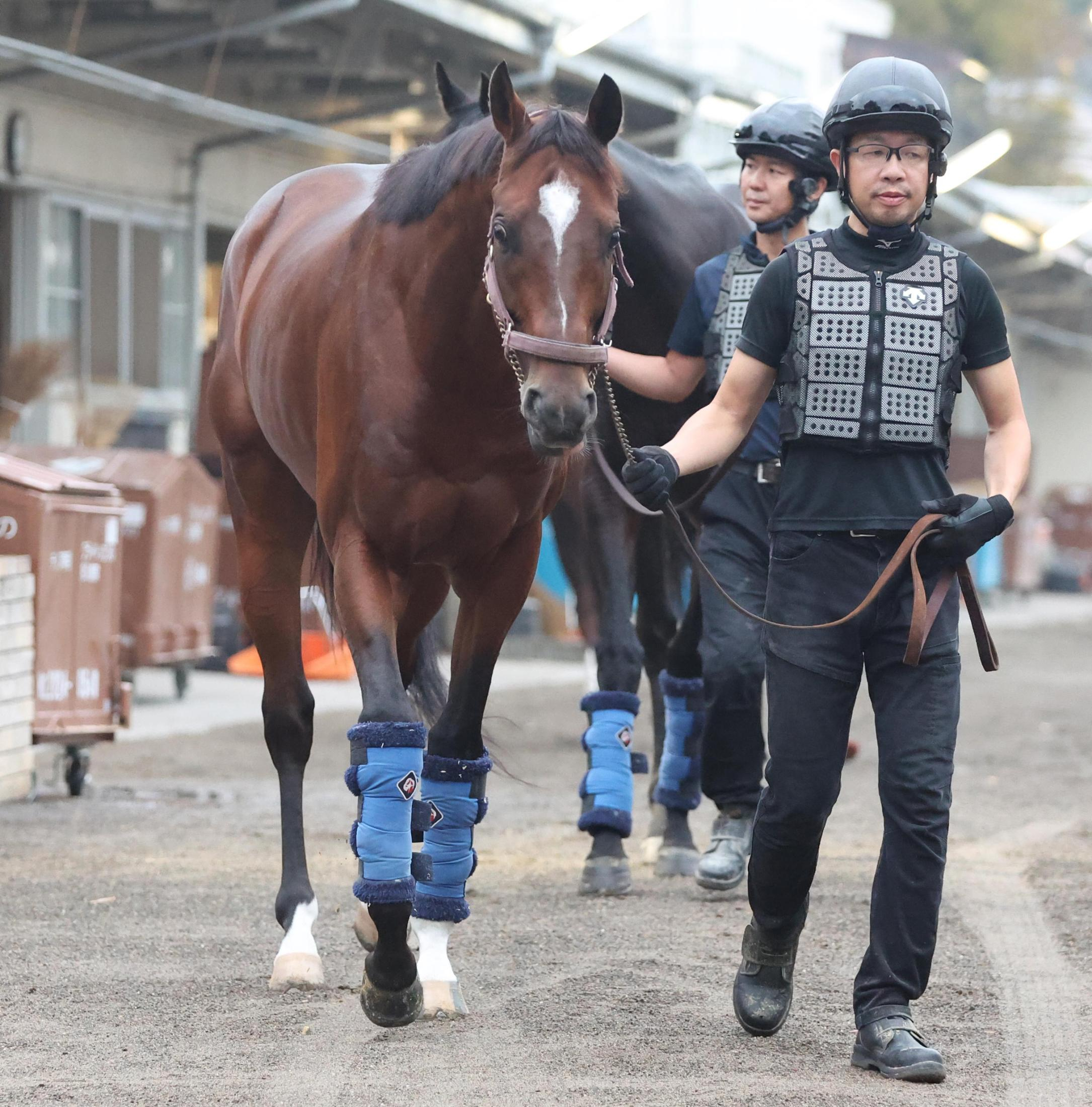 【天皇賞】レーベンスティール　動揺なし８枠１４番　山崎助手「特に不安はないですね」