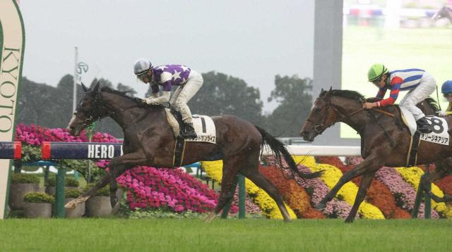 【京都新馬戦】サウンドサンライズ　追い比べを制す!浜中「こういう馬場もこなしてくれた」