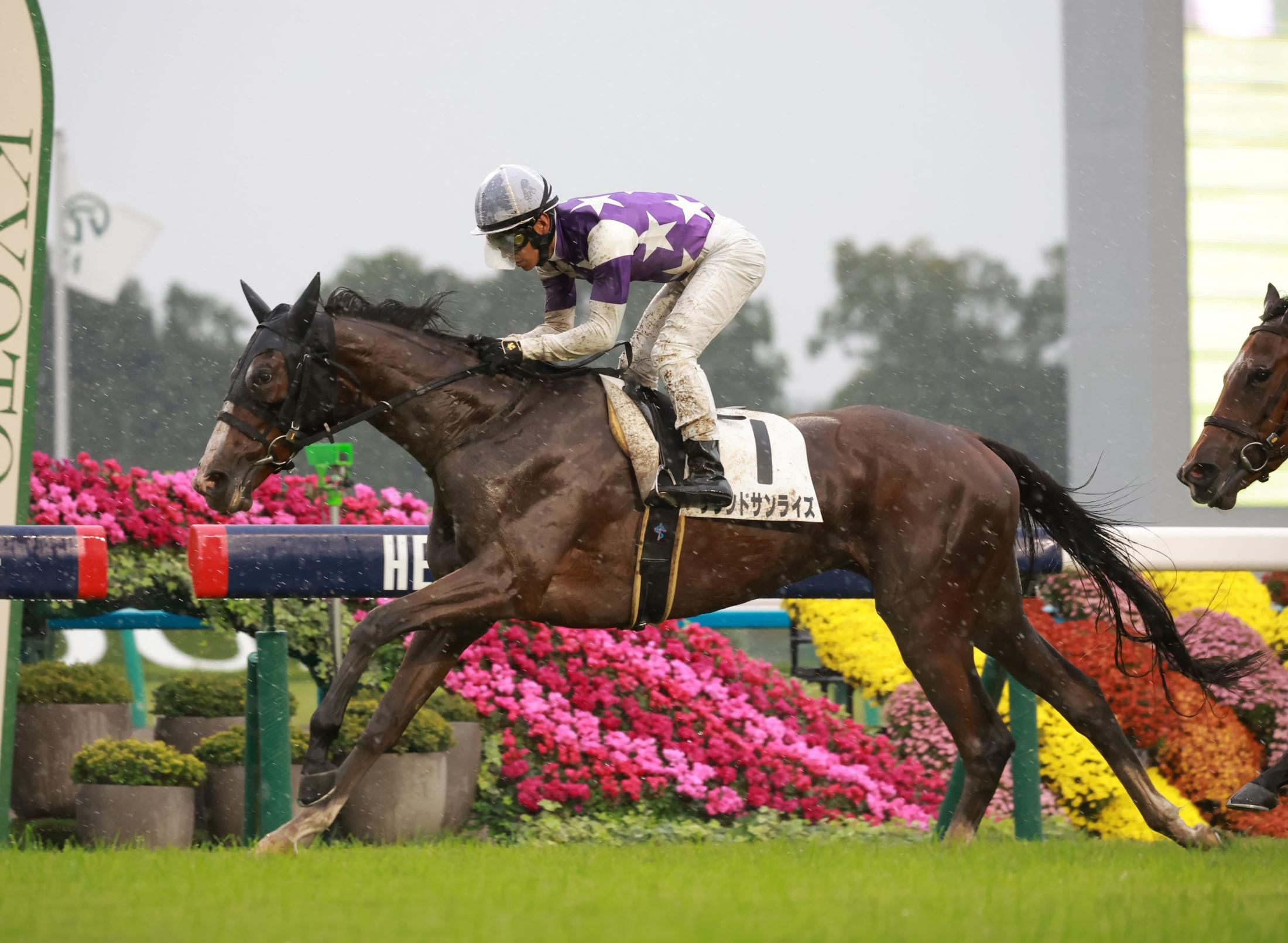 【新馬戦】サウンドサンライズ　荒れた馬場もろともせず直線突き抜けＶ　浜中「しぶとかったです」