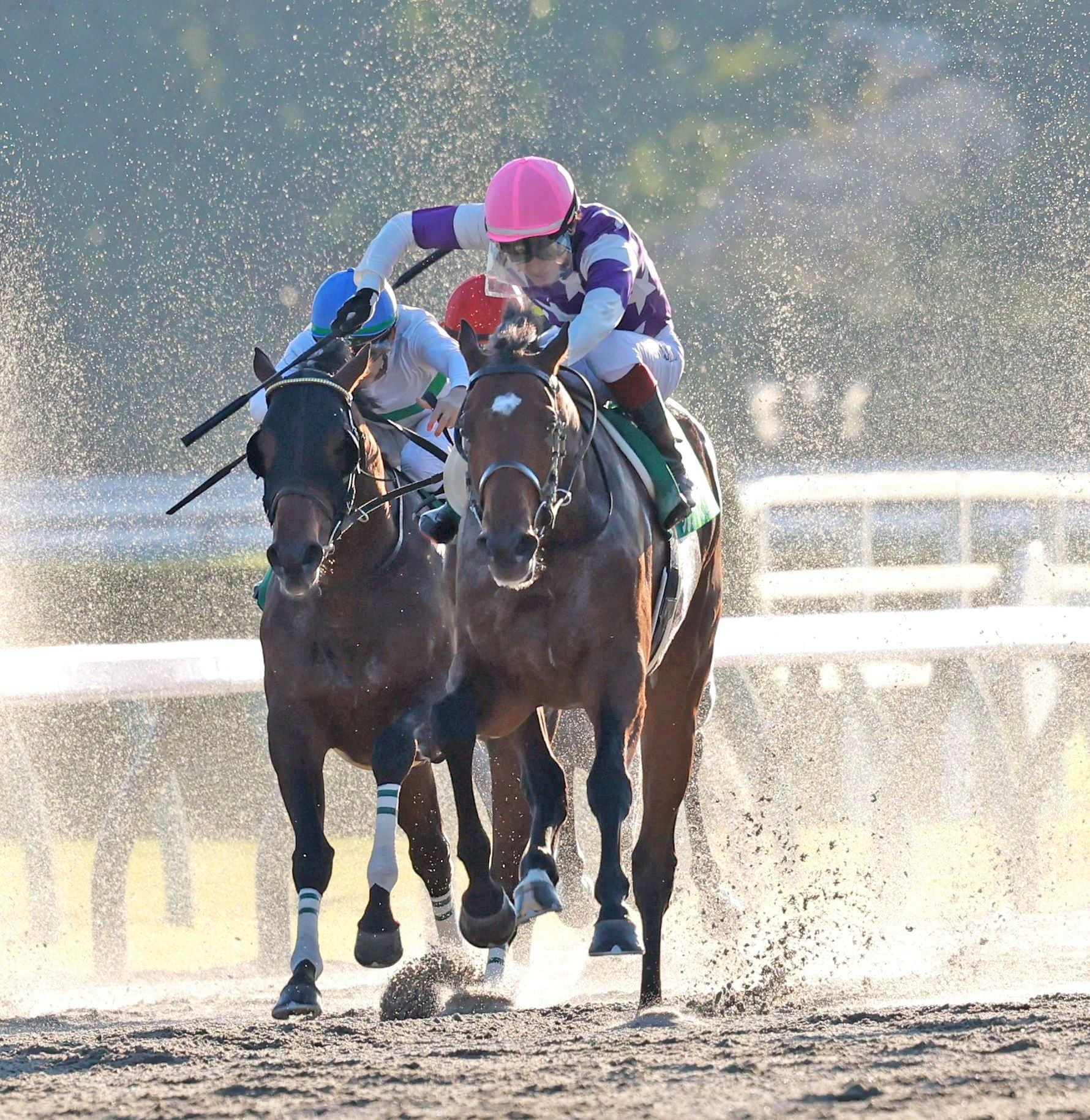 【みやこＳ】３歳馬サンライズジパング　“最強世代”一角が古馬撃破で大一番へ弾み　鮫島駿「非常にレベル高い」