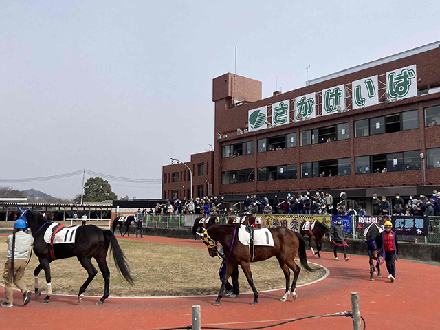 【佐賀・JBCスプリント結果】タガノビューティーが悲願のJpnI初制覇！