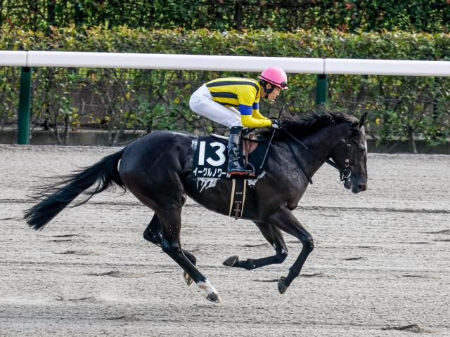 【武蔵野S展望】交流重賞での活躍馬に注目したい