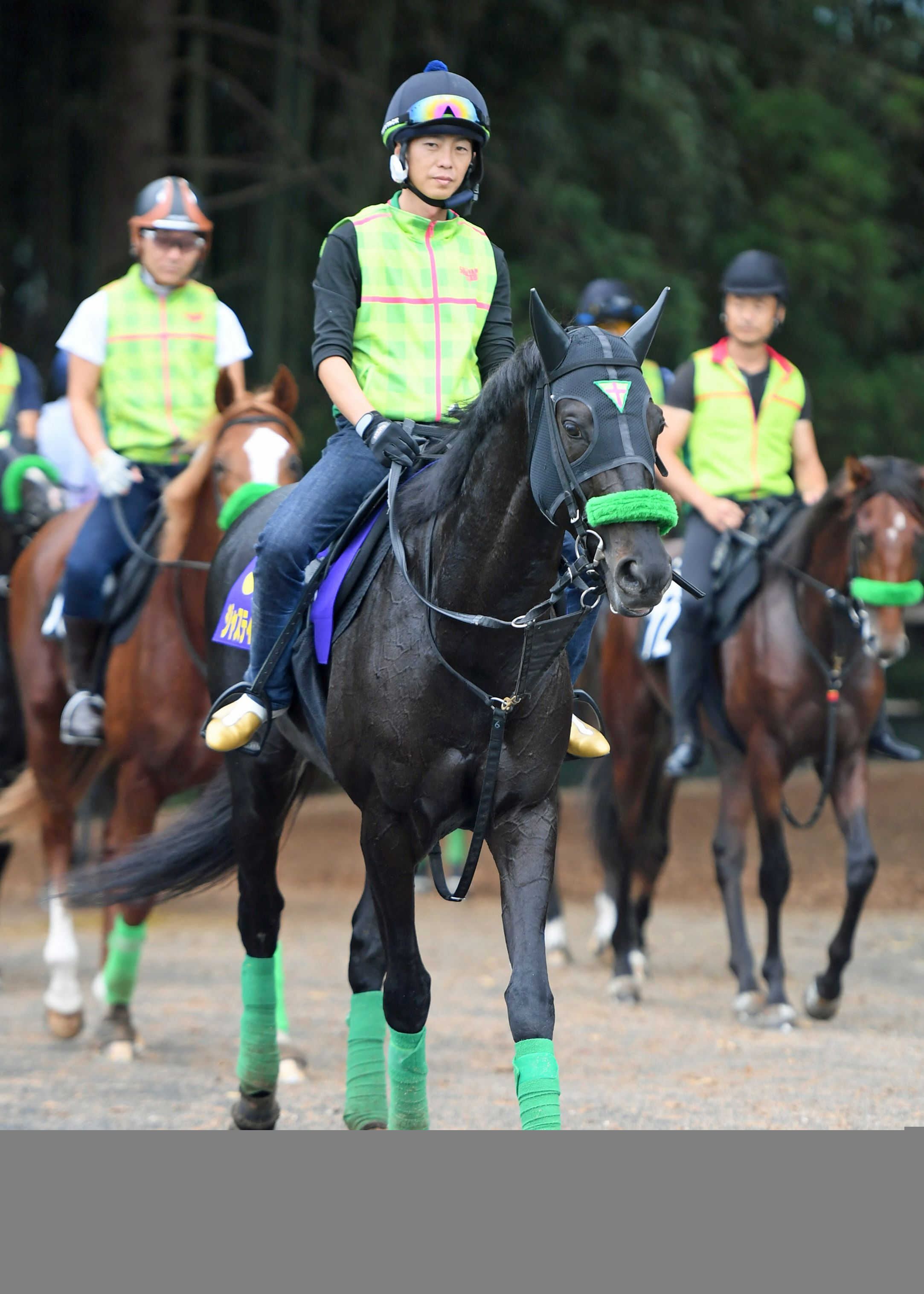 ジャスティンパレスがジャパンＣへ参戦決定　昨秋とは異なるローテ選択も杉山晴師「距離が延びるのはいいですね」