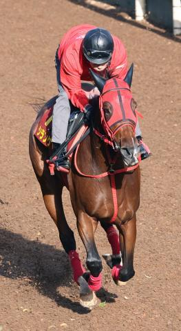 【エリザベス女王杯】2連勝中のシランケドが自重　中1週を考慮　牧浦調教師「回復しきれていない」