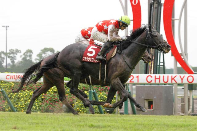 不屈の重賞2勝馬ステラヴェローチェが現役引退　須貝調教師「本当によく頑張ってくれたと思います」