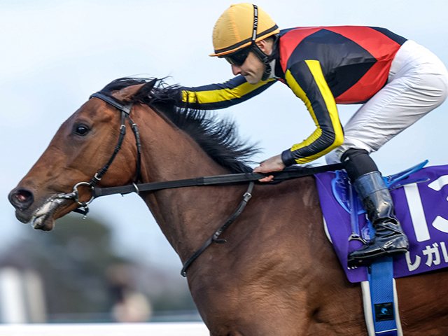 【エリザベス女王杯】C.ルメール騎手が2年連続4勝目へ 唯一の3歳馬レガレイラで参戦