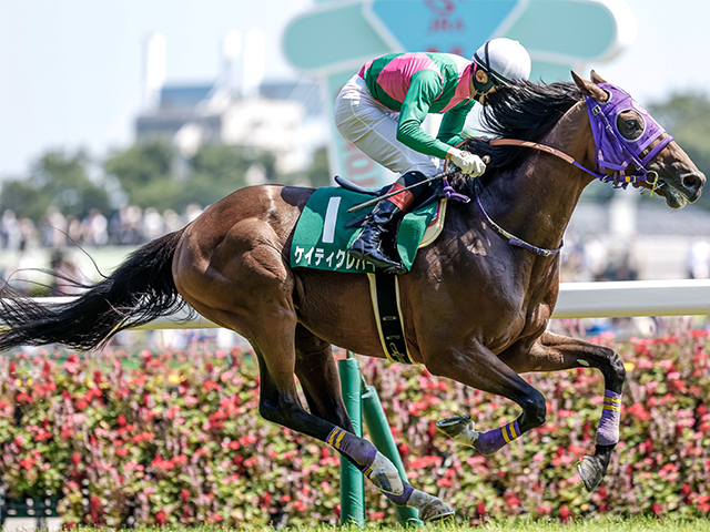 22年東京JS覇者ケイティクレバーが登録抹消 今後は乗馬に