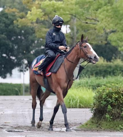 【注目馬動向】2冠牝馬チェルヴィニアはジャパンCでルメール騎手とコンビ継続