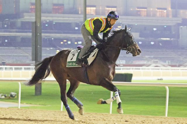 【注目馬動向】スターズオンアースがジャパンCで川田将雅騎手とコンビ復活　一昨年の桜花賞V以来