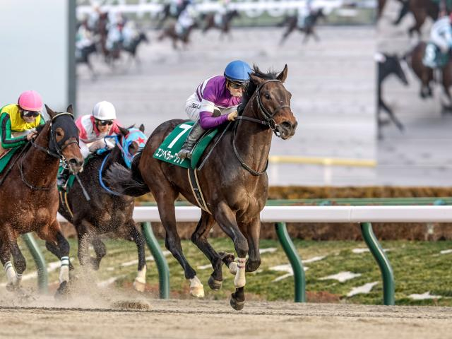 【武蔵野S枠順確定】エンペラーワケアは6枠10番、タマモロックは7枠12番