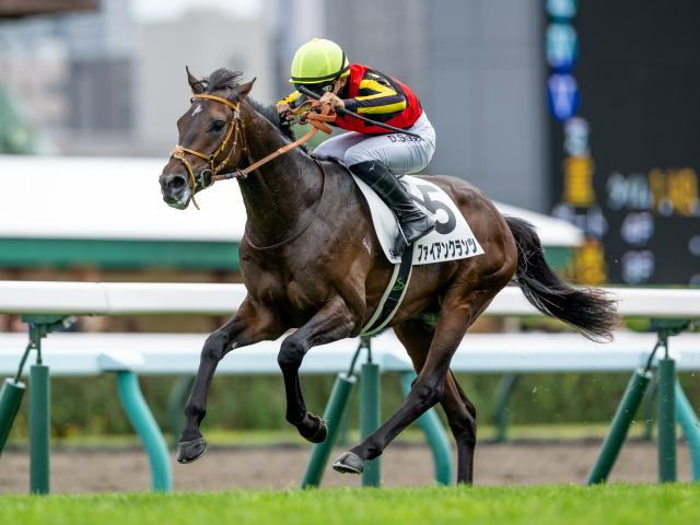 【東スポ杯2歳S想定馬・騎手】ファイアンクランツ、レッドキングリーなど9頭