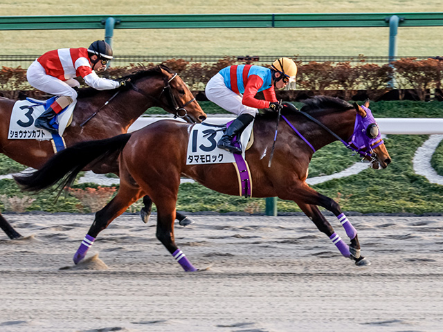 【武蔵野S予想】関西馬が圧倒的な良績を残す！ 関東馬はGIでも通用する能力が必要不可欠