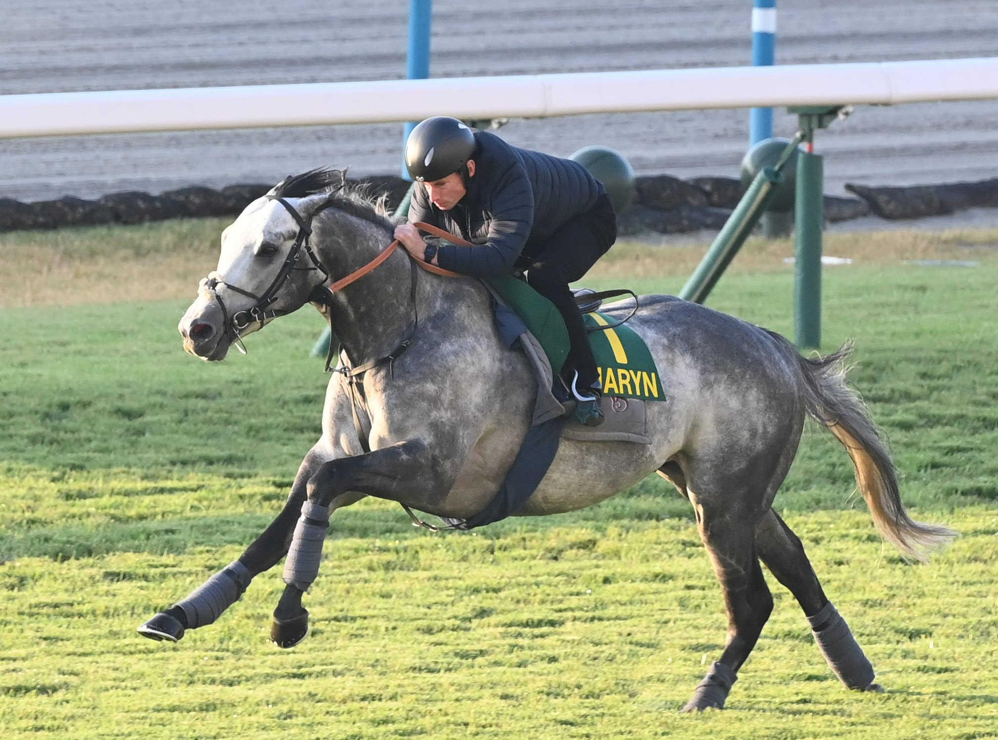 【マイルＣＳ】チャリン　本物　外国馬初Ｖへ前評判覆すパワフルな動き　ムーア手応え「非常にいい」