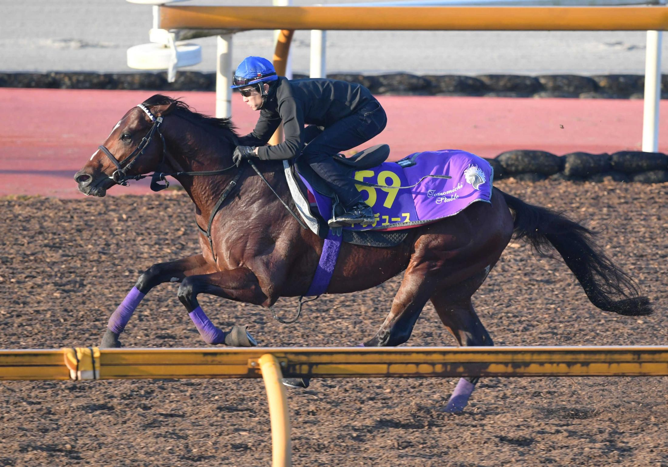 【ジャパンＣ】ドウデュース　圧巻　好ラップに武豊「何も問題ない」　友道師「前走よりもいい」