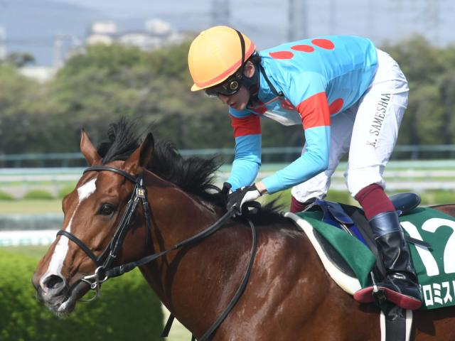 ダート重賞2勝のプロミストウォリアが抹消 今後は種牡馬入り