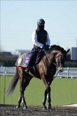 22年朝日杯FS覇者ドルチェモア、大井に移籍へ　JRA競走馬登録抹消