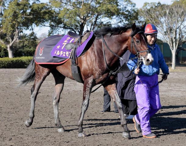 G1馬ドルチェモアがJRAの競走馬登録を抹消　今後は大井競馬へ移籍予定