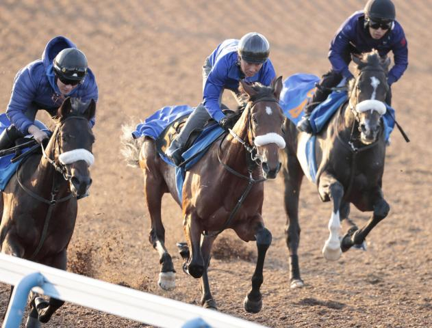 【POG】超良血馬アロンズロッドが1週前追い切りで上々の動き　11・23の東京で初勝利目指す