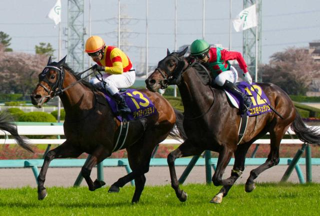 屈腱炎が判明した皐月賞馬ジャスティンミラノ、引退…種牡馬入り　友道師「長所を子供たちに」