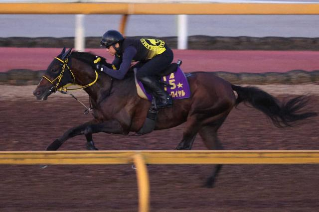 天皇賞・春覇者テーオーロイヤル、有馬記念も回避　岡田師「天皇賞・春を目指す」