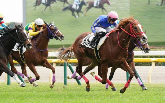 【東京4R新馬】エルマーゴ快勝　マーカンド「千六とか将来的には面白い存在に」