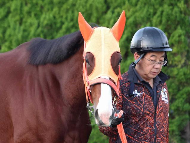 【マイルCS】(4)ナミュール　素晴らしい気配、高野師「前年王者として負けられない」